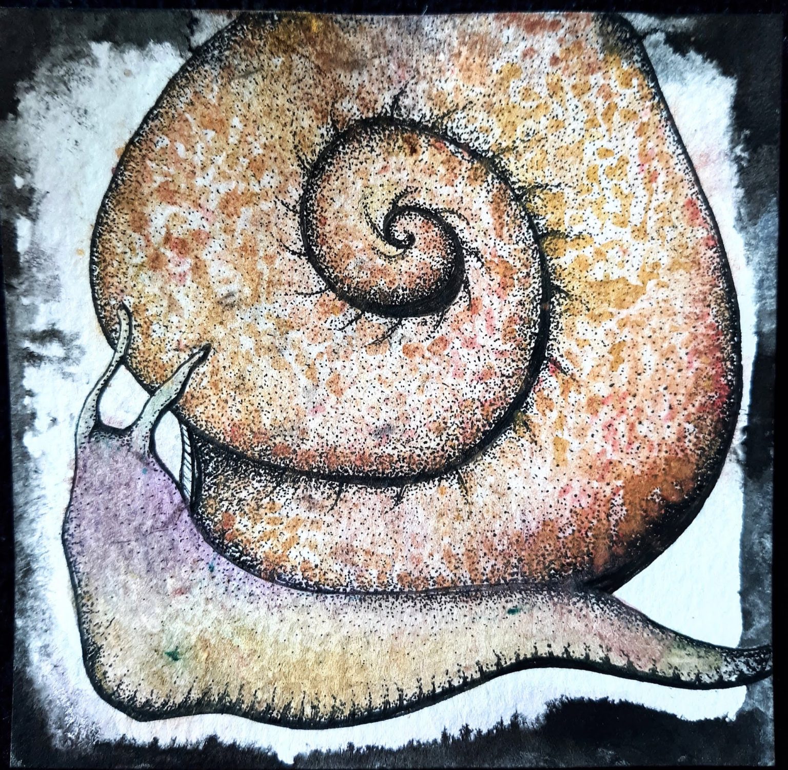 gail the snail